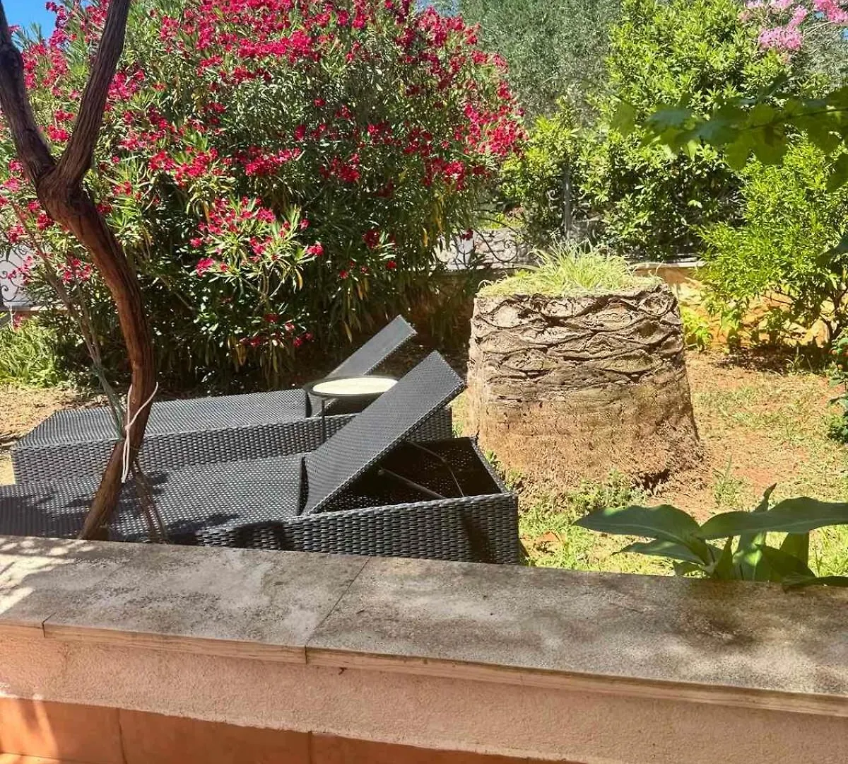 Summer house Mokka Silba